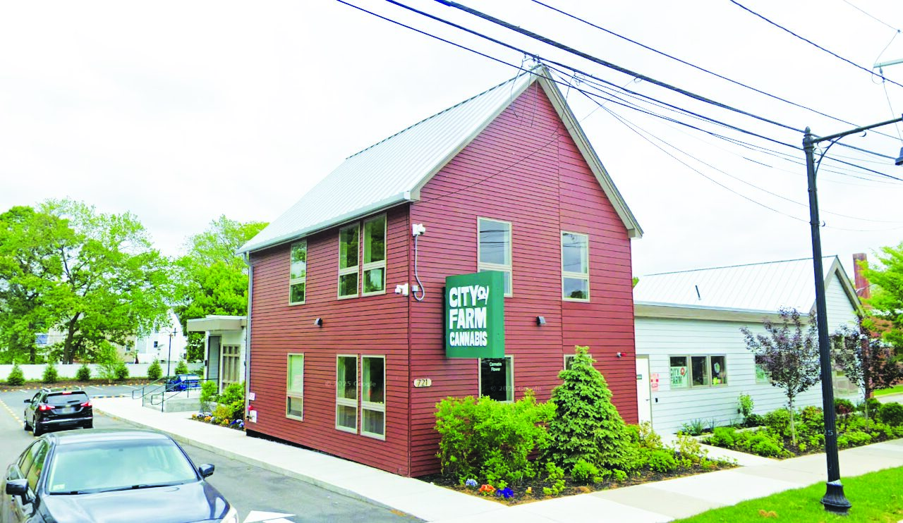 Company seeks cannabis license in Roslindale