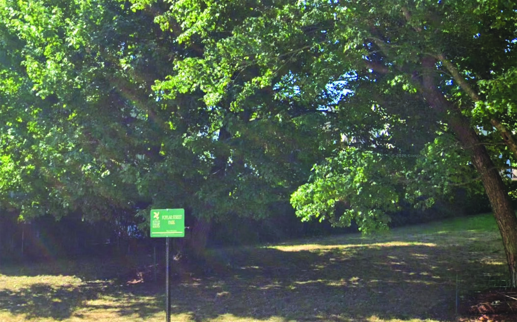 WVNA talks zoning, Poplar Food Forest